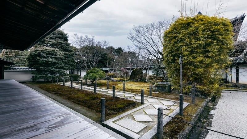 Creating A Beautiful And Functional Landscape Design